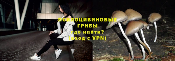 кристаллы Инта