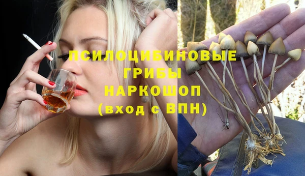 кристаллы Инта