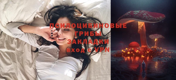 бошки Инсар