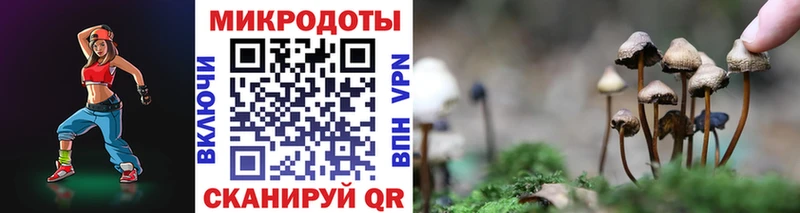 Купить где  Гулькевичи  Псилоцибиновые грибы GOLDEN TEACHER 